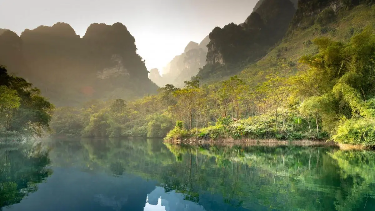 高标准高性能